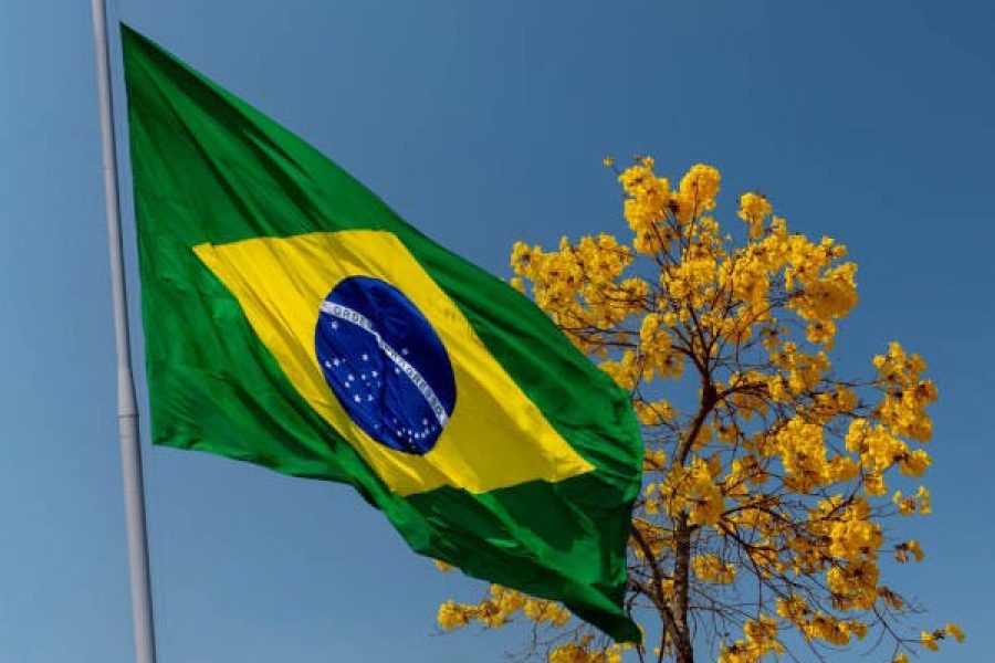 editorial_democracia_17