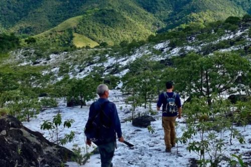 Com quatro portarias, Parque foi criado em 2018 e, atualmente, prepara o plano de manejo para que possa ser aberta ao público