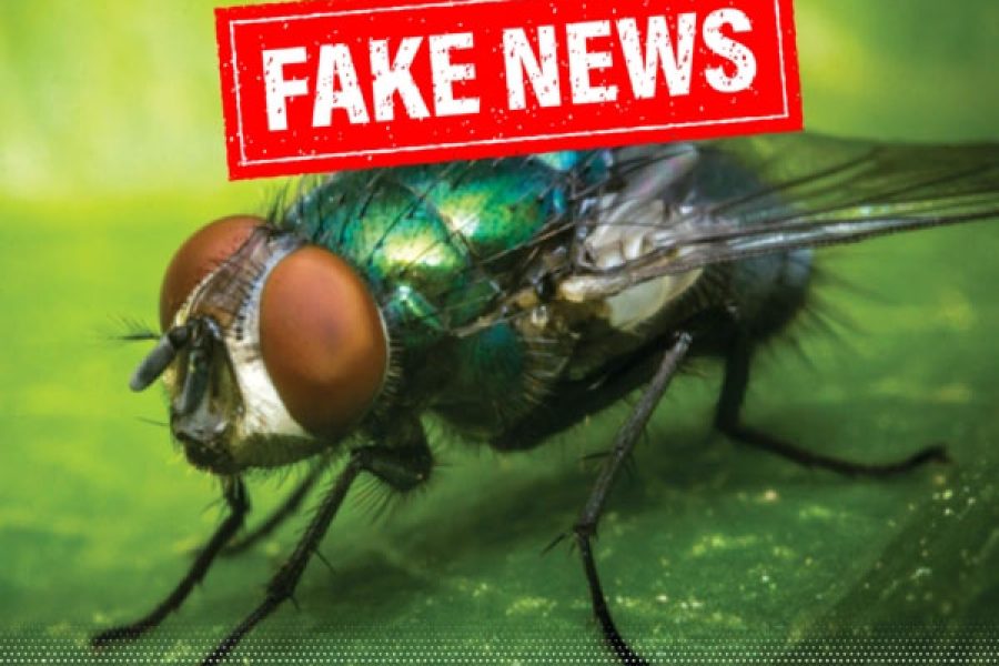 fake_22