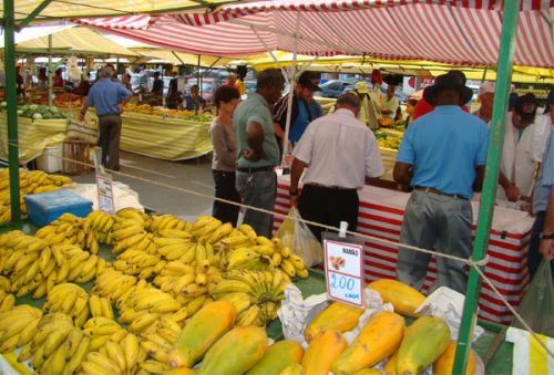 ferira2