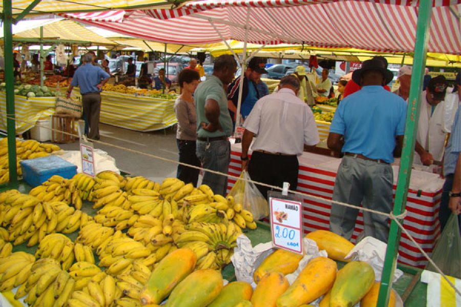 ferira2