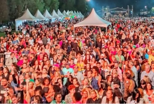festival_8