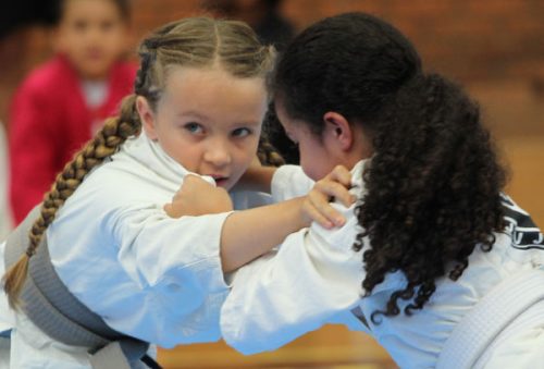 foto-jitsu-montanhas-17-11-2025