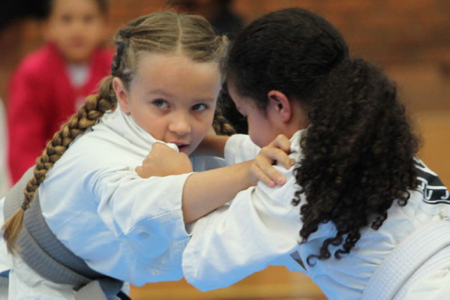 foto-jitsu-montanhas-17-11-2025
