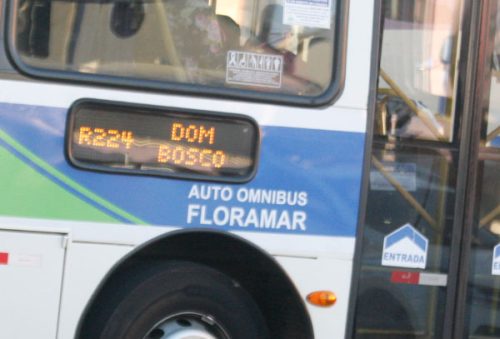 flora_2