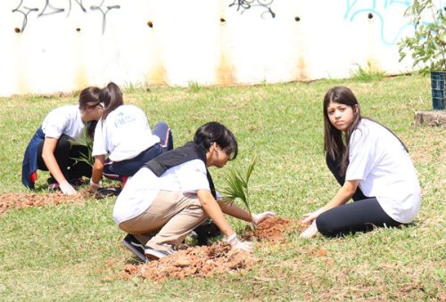 floresta_29