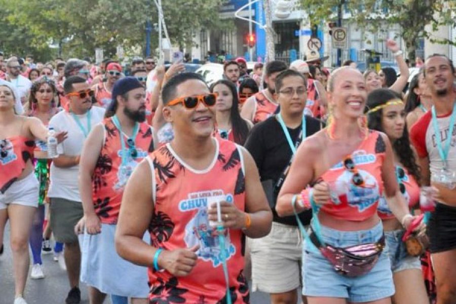 folia_12