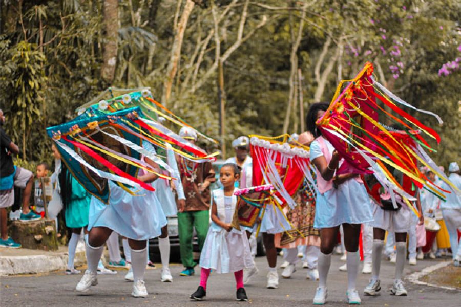 folia_2