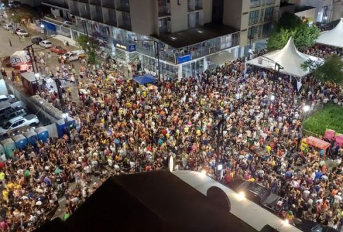 folia_20