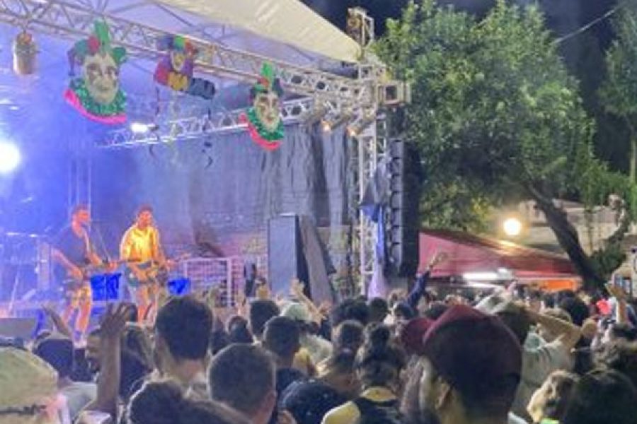 folia_3