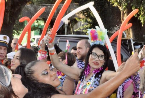 folia_colunao_10