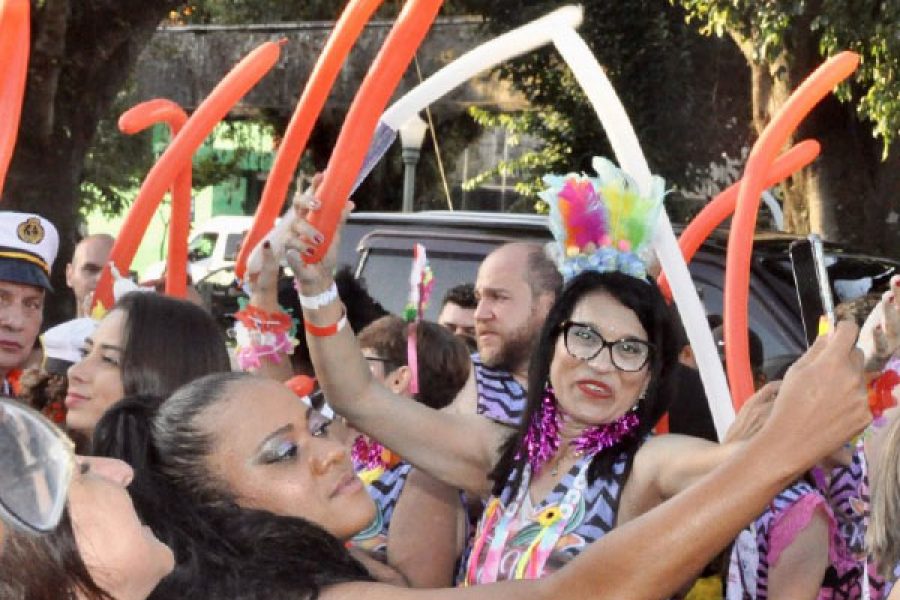 folia_colunao_10