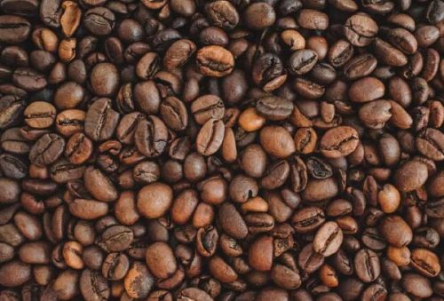 foto-programacao-festa-cafe-09-10-2025