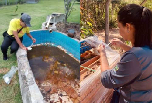 foto-infestacao-aedes-aegypti-20-11-2025