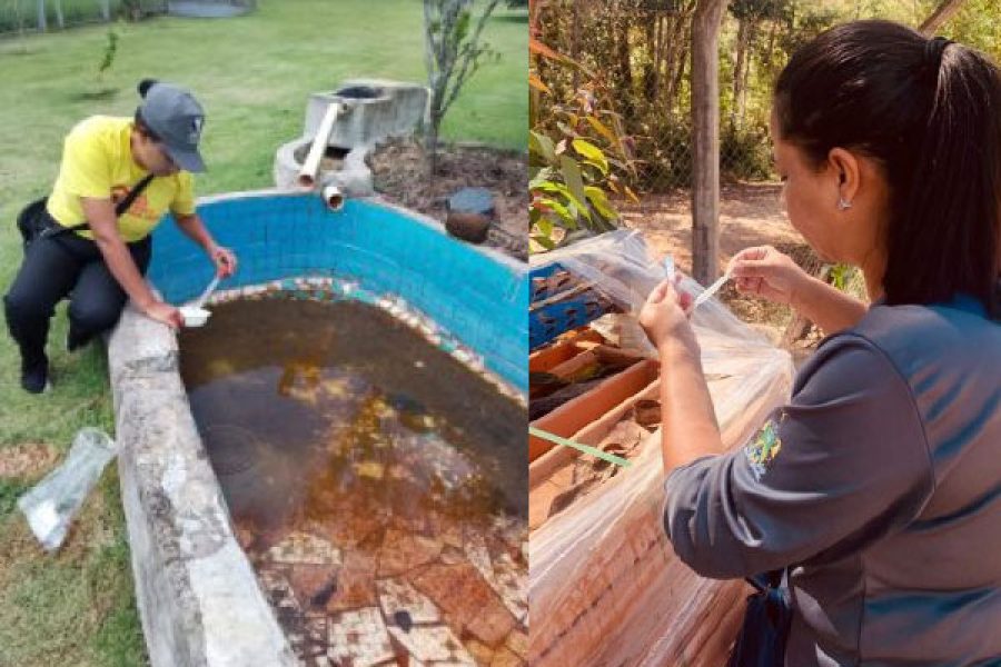 foto-infestacao-aedes-aegypti-20-11-2025