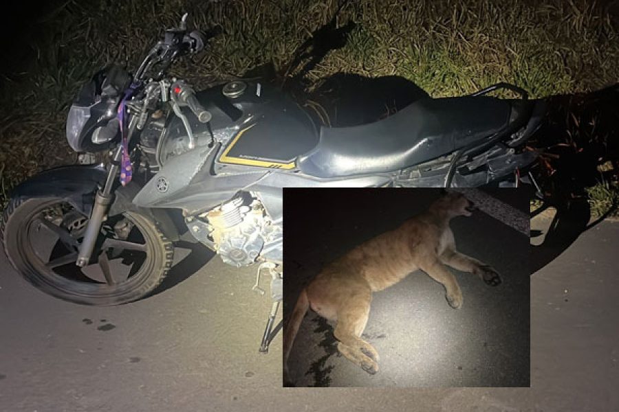 Foto: PMR/Divulgação