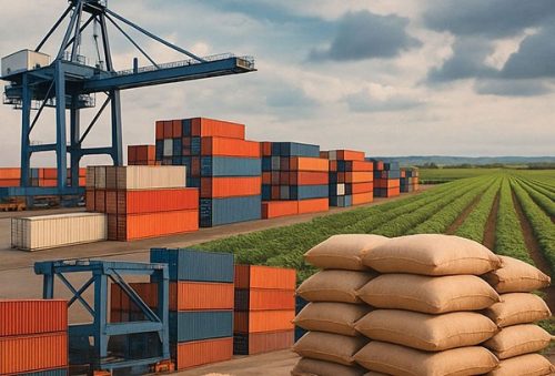 foto-agro-editorial-17-07-2025