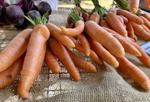 foto-alimentos-organicos-21-02-2026