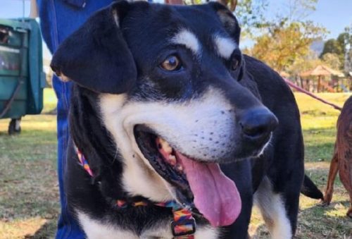 Foto: PMPC/Divulgação