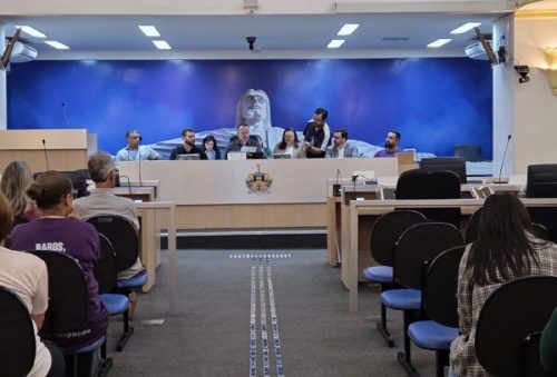 foto-audiencia-debate-politicas-publicas-para-pessoas-com-fibromialgia-e-doencas-raras-09-04-26