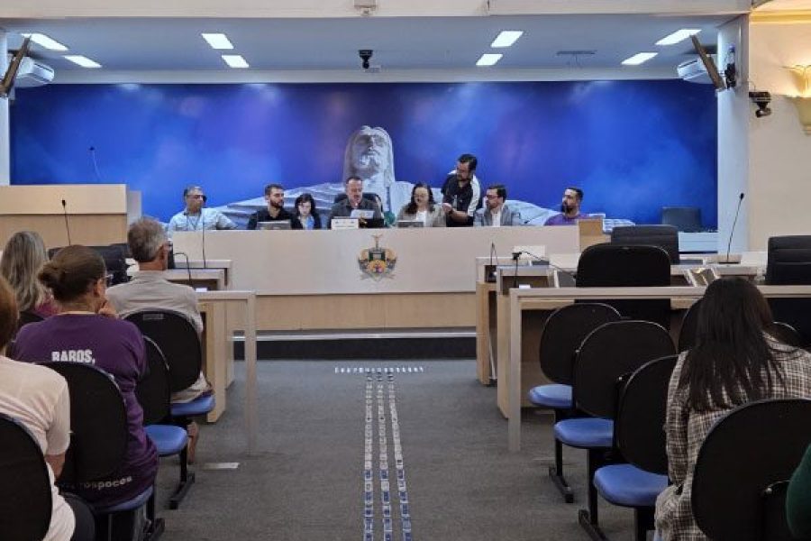 foto-audiencia-debate-politicas-publicas-para-pessoas-com-fibromialgia-e-doencas-raras-09-04-26