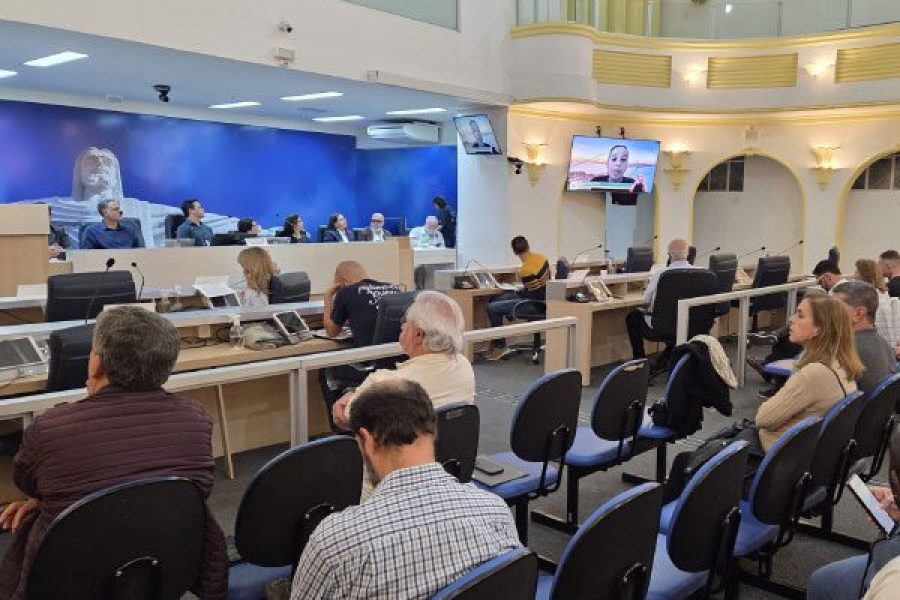 foto-audiencia-publica-11-06-20