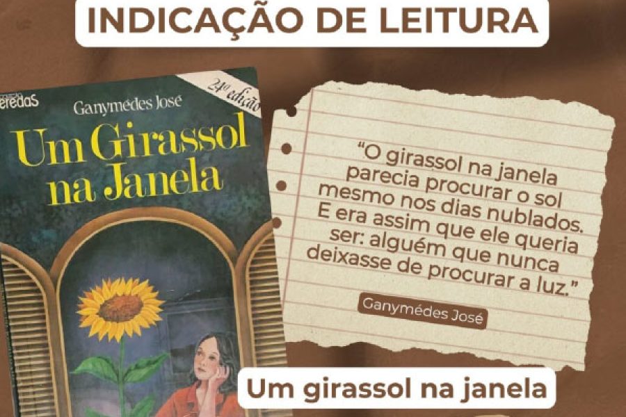 foto-bibliotecas-indicam-um-girassol-na-janela-uma-historia-sobre-amizade-sensibilidade-e-esperanca-06-03-26