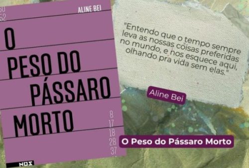 foto-bibliotecas-publicas-de-pocos-de-caldas-indicam-o-peso-do-passaro-morto-de-aline-bei-27-08-26