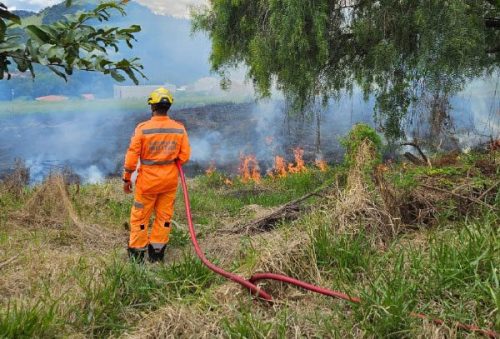 foto-bombeiros-combatem-incendio-em-vegetacao-no-jardim-panorama-06-04-26