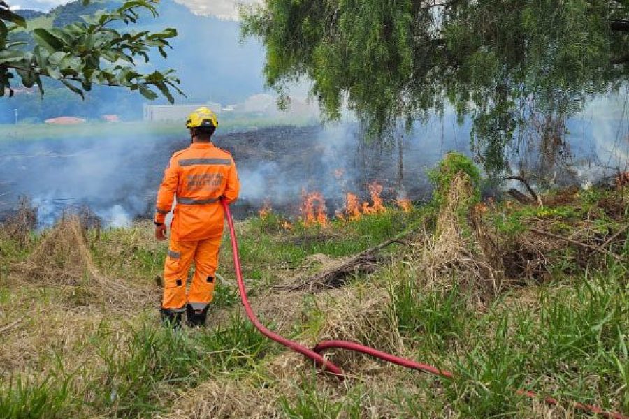 foto-bombeiros-combatem-incendio-em-vegetacao-no-jardim-panorama-06-04-26