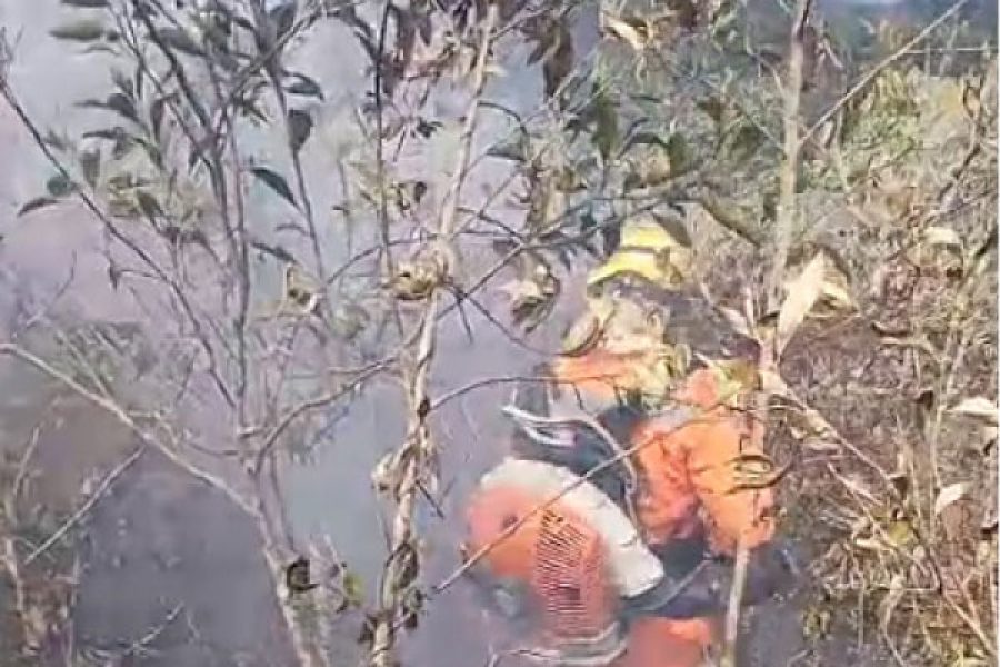foto-bombeiros-incendio-28-10-2025