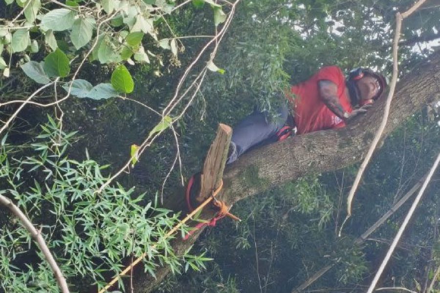 foto-bombeiros-removem-arvore-com-risco-de-queda-em-andradas-16-04-26