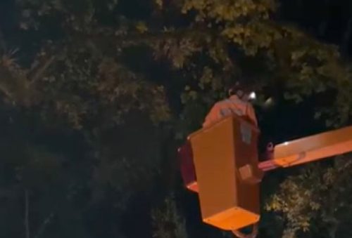 foto-bombeiros-removem-galho-com-risco-de-queda-na-praca-pedro-sanches-16-02-26