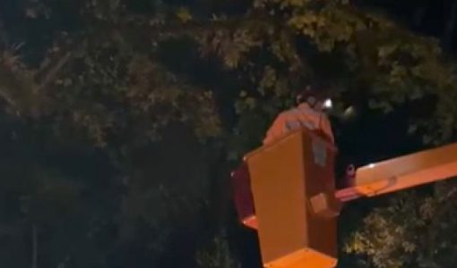 foto-bombeiros-removem-galho-com-risco-de-queda-na-praca-pedro-sanches-16-02-26