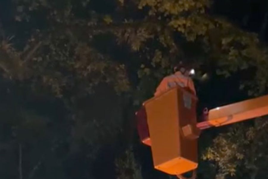 foto-bombeiros-removem-galho-com-risco-de-queda-na-praca-pedro-sanches-16-02-26