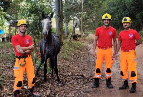 foto-bombeiros-resgate-26-05-2026