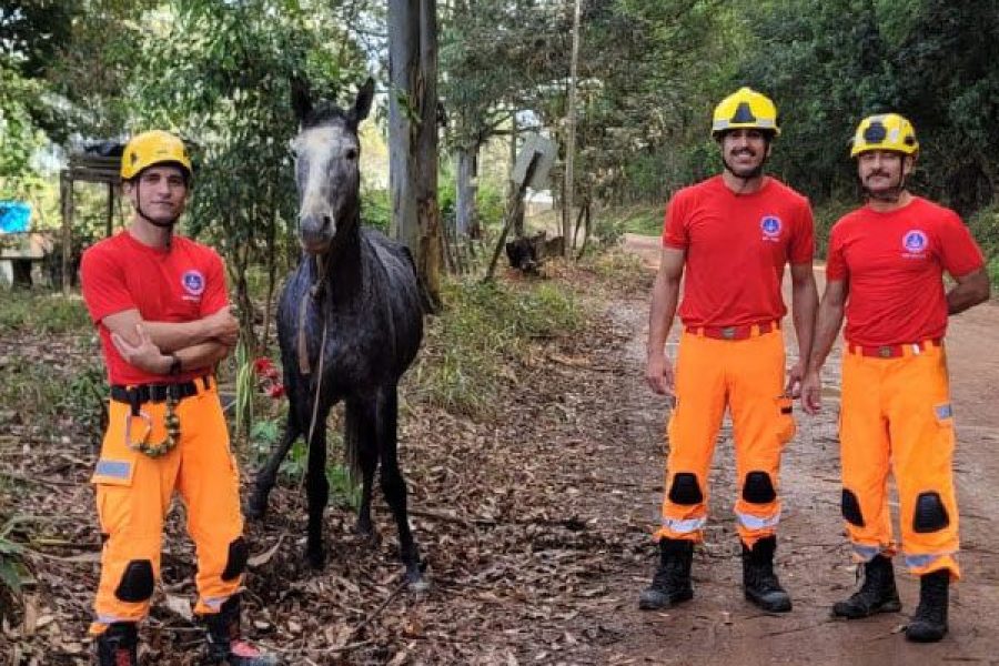 foto-bombeiros-resgate-26-05-2026