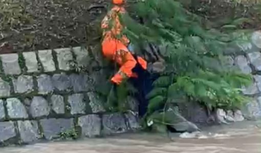 foto-bombeiros-resgate-12-03-2026