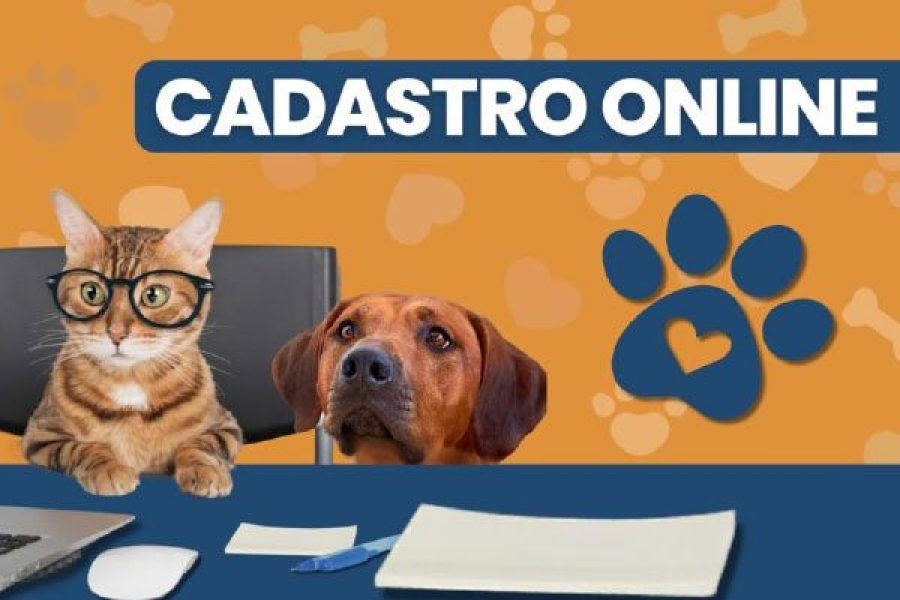 foto-cadastro-on-line-para-castracao-animal-ja-registra-alta-adesao-em-pocos-de-caldas-09-05-26