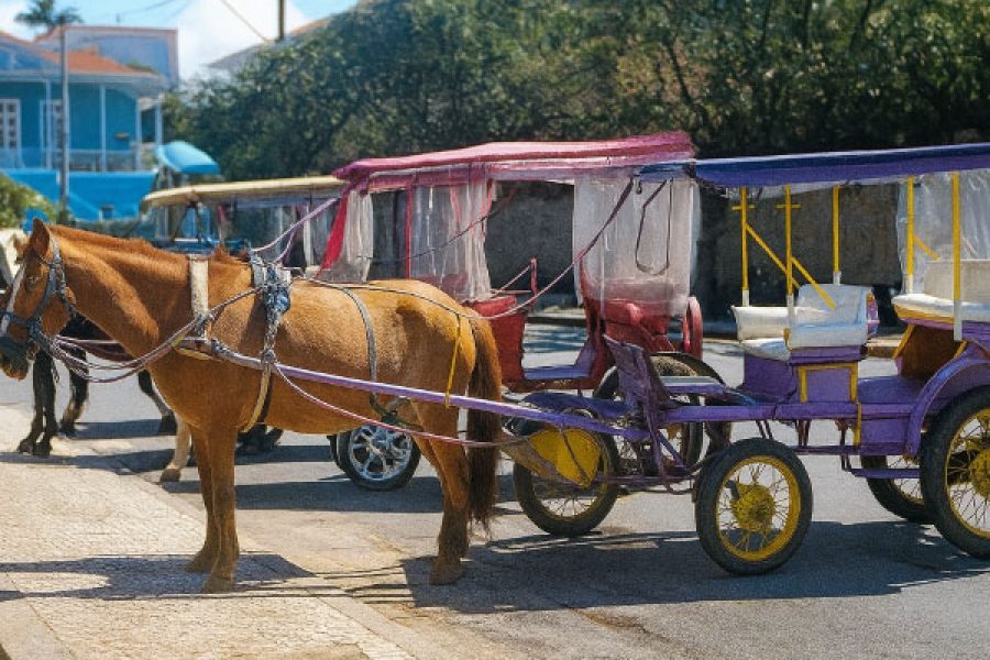 foto-charretes-05-12-2025