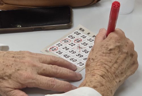 foto-camara-municipal-realiza-bingo-da-cidadania-com-idosos-da-unabem-03-03-26