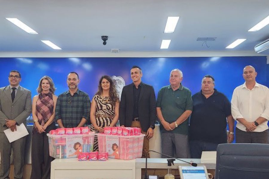 foto-camara-realiza-entrega-de-absorventes-arrecadados-durante-campanha-no-mes-da-mulher-08-04-26