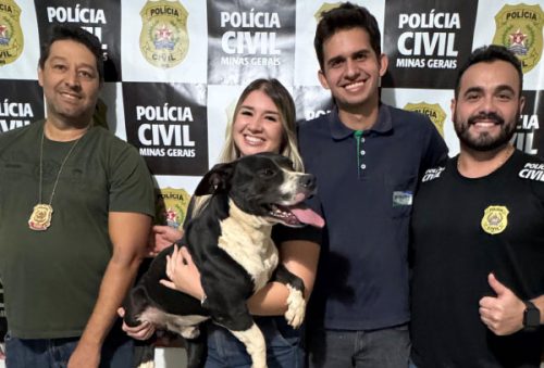 foto-cao-comunitario-negao-e-encontrado-apos-mobilizacao-e-caso-segue-sob-investigacao-25-07-25