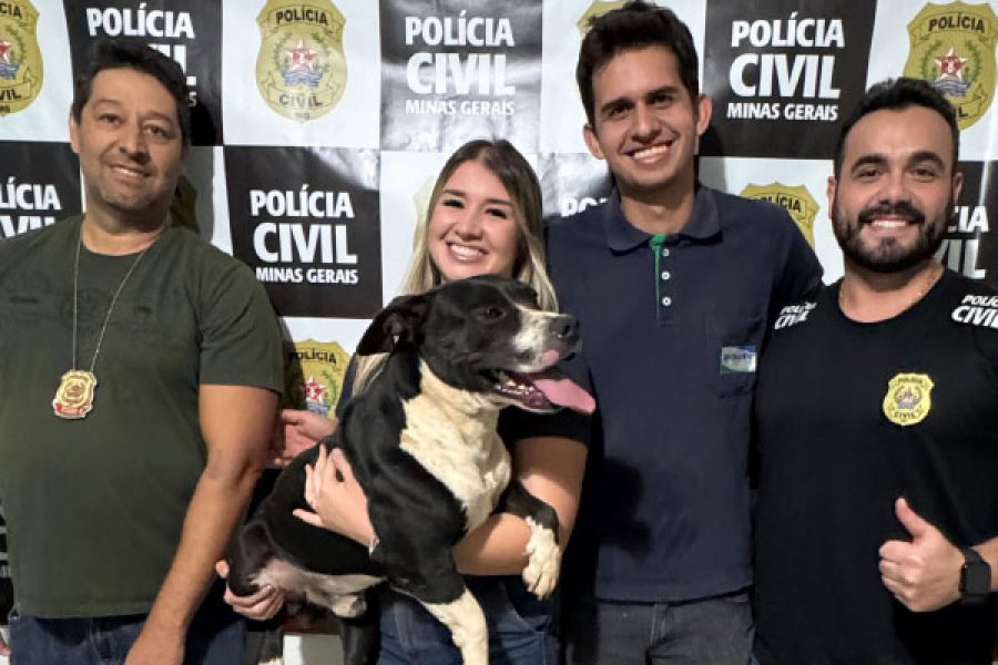 foto-cao-comunitario-negao-e-encontrado-apos-mobilizacao-e-caso-segue-sob-investigacao-25-07-25