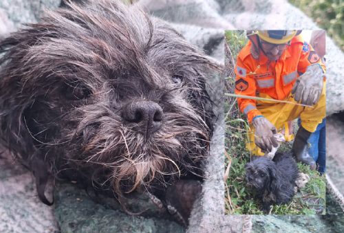 Foto: BMG/ Divulgação