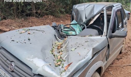 foto-carro-e-atingido-por-eucalipto-na-serra-de-campestrinho-e-motorista-fica-ferido-27-02-26