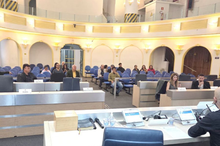 foto-comissao-terras-raras-10-12-2025