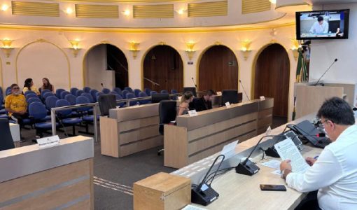 foto-comissao-terras-raras-17-03-2026