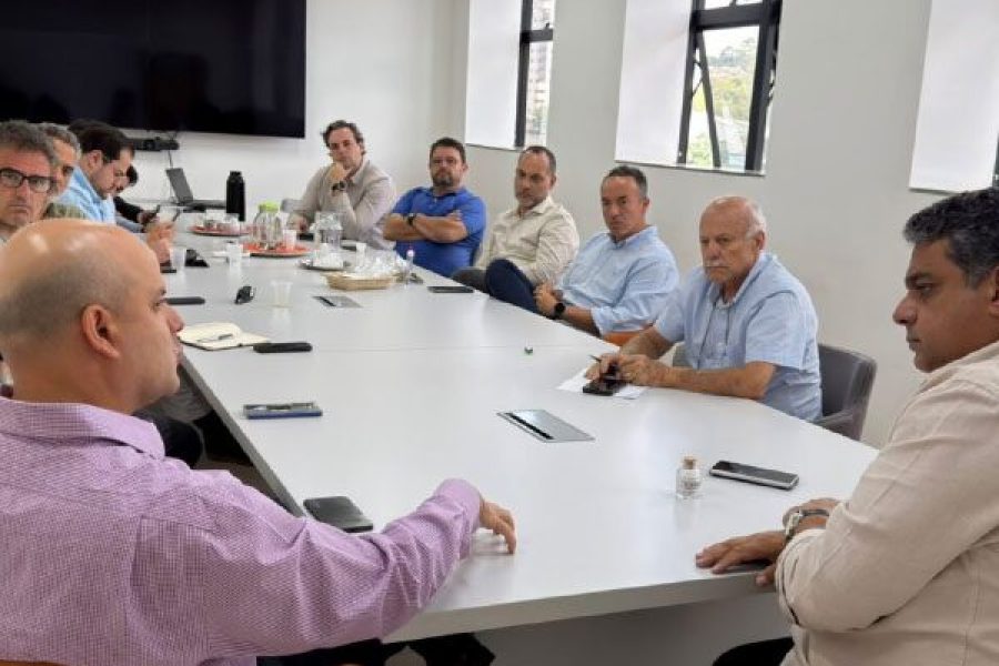 foto-comite-de-terras-raras-discute-oportunidades-desafios-e-investimentos-para-pocos-de-caldas-13-10-26