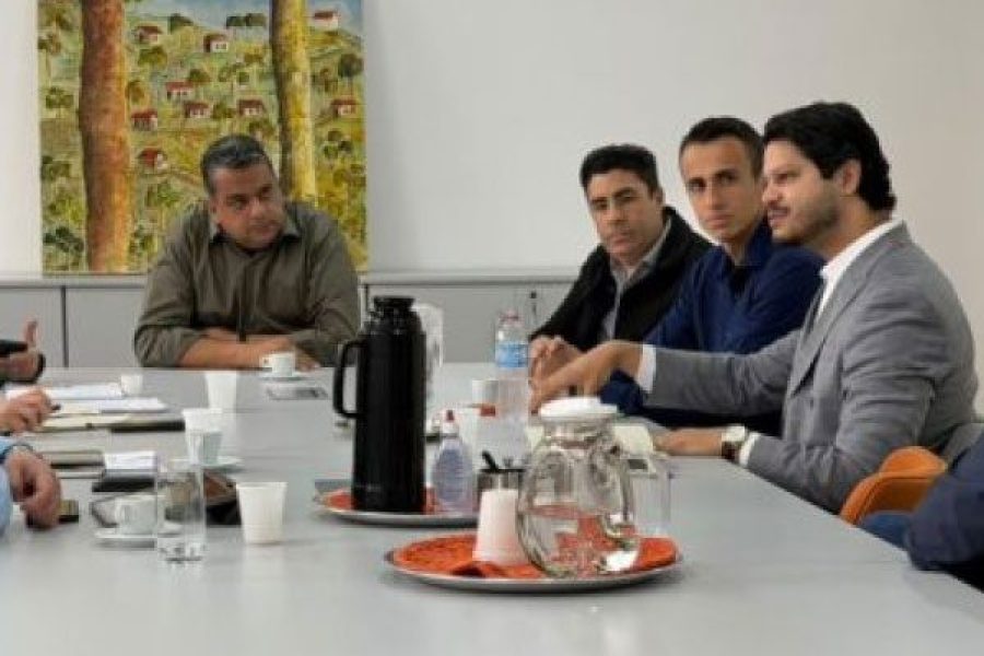 foto-comite-de-terras-raras-reune-executivo-e-legislativo-para-ampliar-transparencia-e-discutir-desenvolvimento-regional-24-09-26